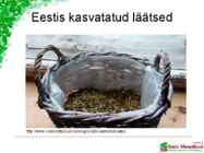 LÄÄTSED #10