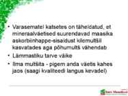 Maasikaistanduse rajamine #16