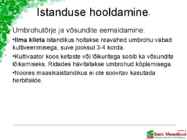 Maasikaistanduse rajamine #17