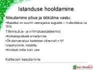 Maasikaistanduse rajamine #21