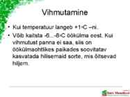 Maasikaistanduse rajamine #22