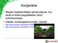 Maasikaistanduse rajamine #30