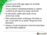 Maasikaistanduse rajamine #10