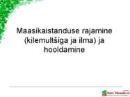 Maasikaistanduse rajamine