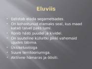 Ilves #3