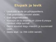 Ilves #4