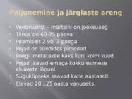 Ilves #6