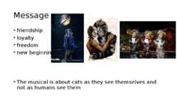 Cats #5