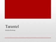 Tarantel