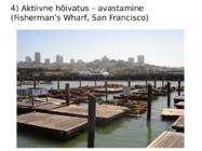 Avalik ruum #13