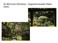 Avalik ruum #17