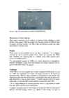 Wave-energy #23