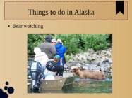 Esitlus - Alaska #19