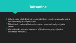 Kahetiivalised #5