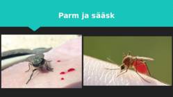Kahetiivalised #6