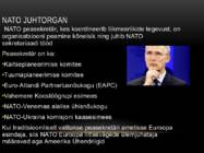 Nato #5
