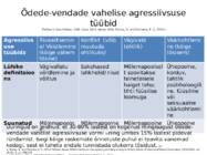 Õdede-vendade väärkohtlemine-sibling abus #5