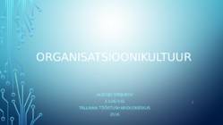 Organisatsioonikultuur