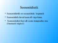 Seened #3