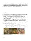 Juugendstiil-impressionism-fovism-ekspressionism-kubism Henri de Toulouse-Lautrec-Cezanne-Gauguin-van-gogh #11