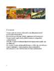 Juugendstiil-impressionism-fovism-ekspressionism-kubism Henri de Toulouse-Lautrec-Cezanne-Gauguin-van-gogh #6