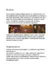 Juugendstiil-impressionism-fovism-ekspressionism-kubism Henri de Toulouse-Lautrec-Cezanne-Gauguin-van-gogh