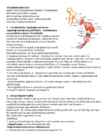 Kinesioloogia II osa kordamisküsimused-vastused #3