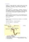 Bioloogia 11-klass-Inimese talitluste regulatsioon #5