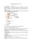 Bioloogia 11-klass-Inimese talitluste regulatsioon