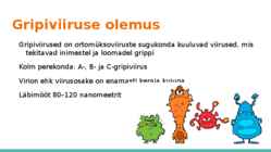 Gripiviirused #2