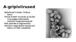 Gripiviirused #3