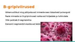 Gripiviirused #4