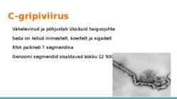 Gripiviirused #5