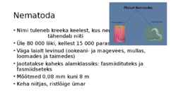 Nematoda #2