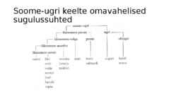 Soome-ugri keelkond esitlus eesti keeles #3