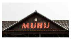 Muhu saar