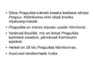 Priapulida- keraskärssuss #2