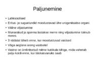 Priapulida- keraskärssuss #12