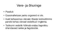 Priapulida- keraskärssuss #10