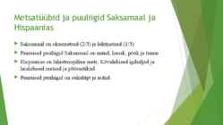 Saksamaa ja Hispaania metsad ja metsamajandus #7