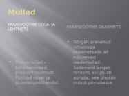 USA metsad #12