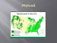 USA metsad #4