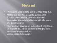 USA metsad #5