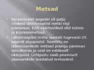 USA metsad #7