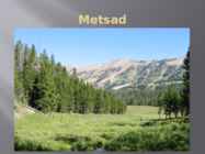 USA metsad #8