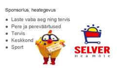 Selveri esitlus #11