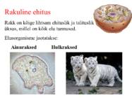 Elu tunnused #3