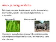 Elu tunnused #5