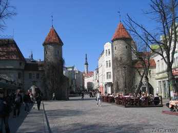 Tallinn #8
