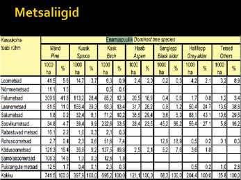 Metsad #8